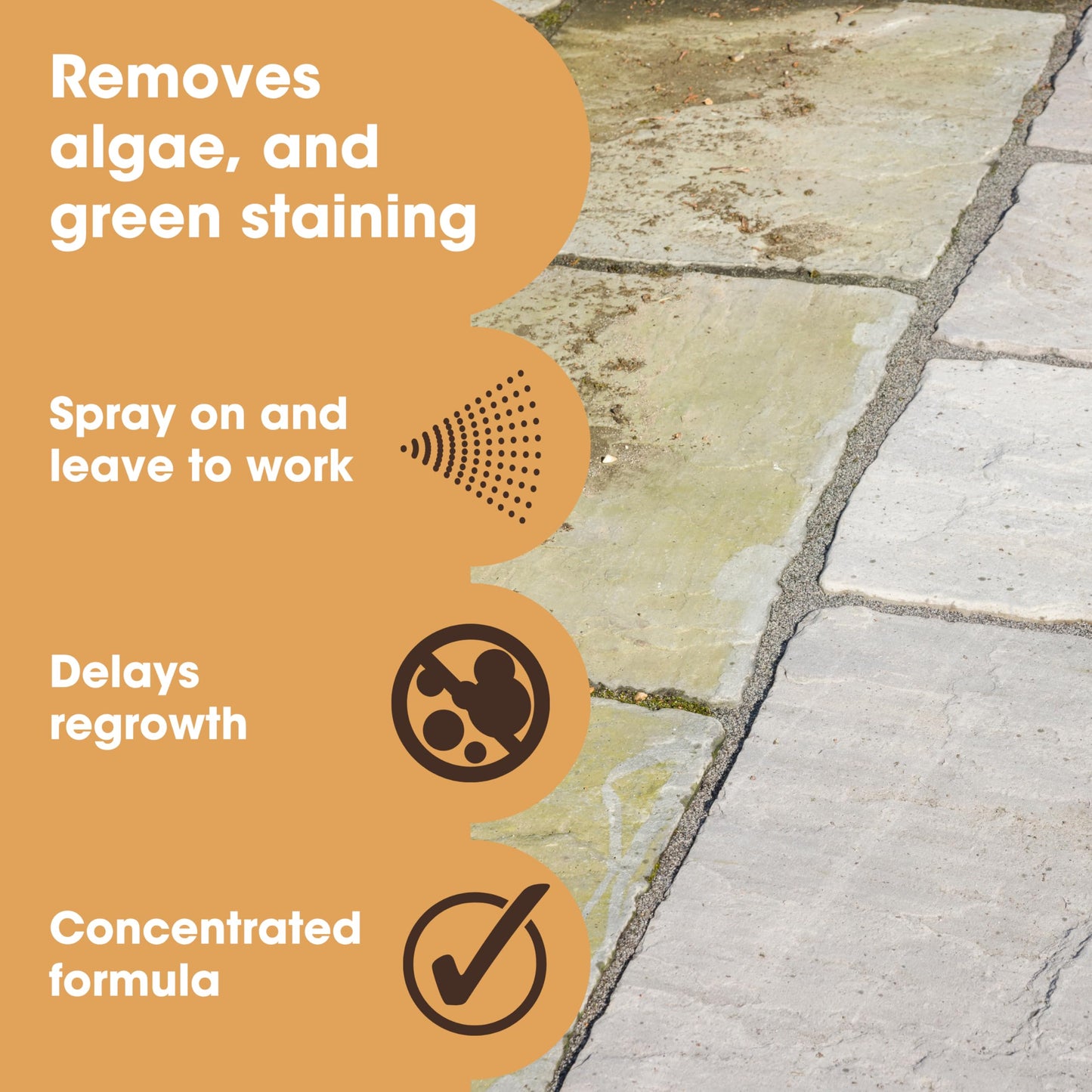Patio Cleaner Concentrate 5L Makes 30L - Green Stain Removal - For Patios, Wood Decking or Fence, Driveways, Roofs & Block Paving Cleaning - Green Growth Remover