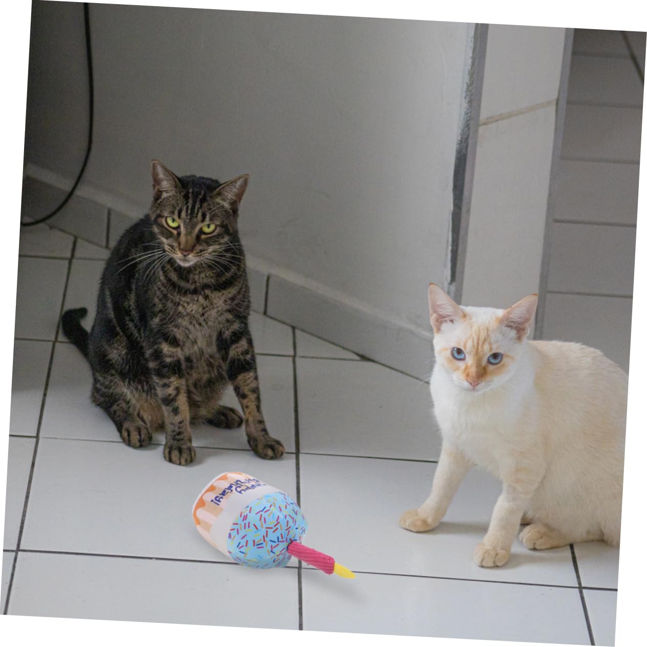 BESPORTBLE Plush Cat Chewing Toy Birthday Cake Shape Indoor Teething Fun for Cats Safe Soft for Engaging Playtime and Reducing Loneliness