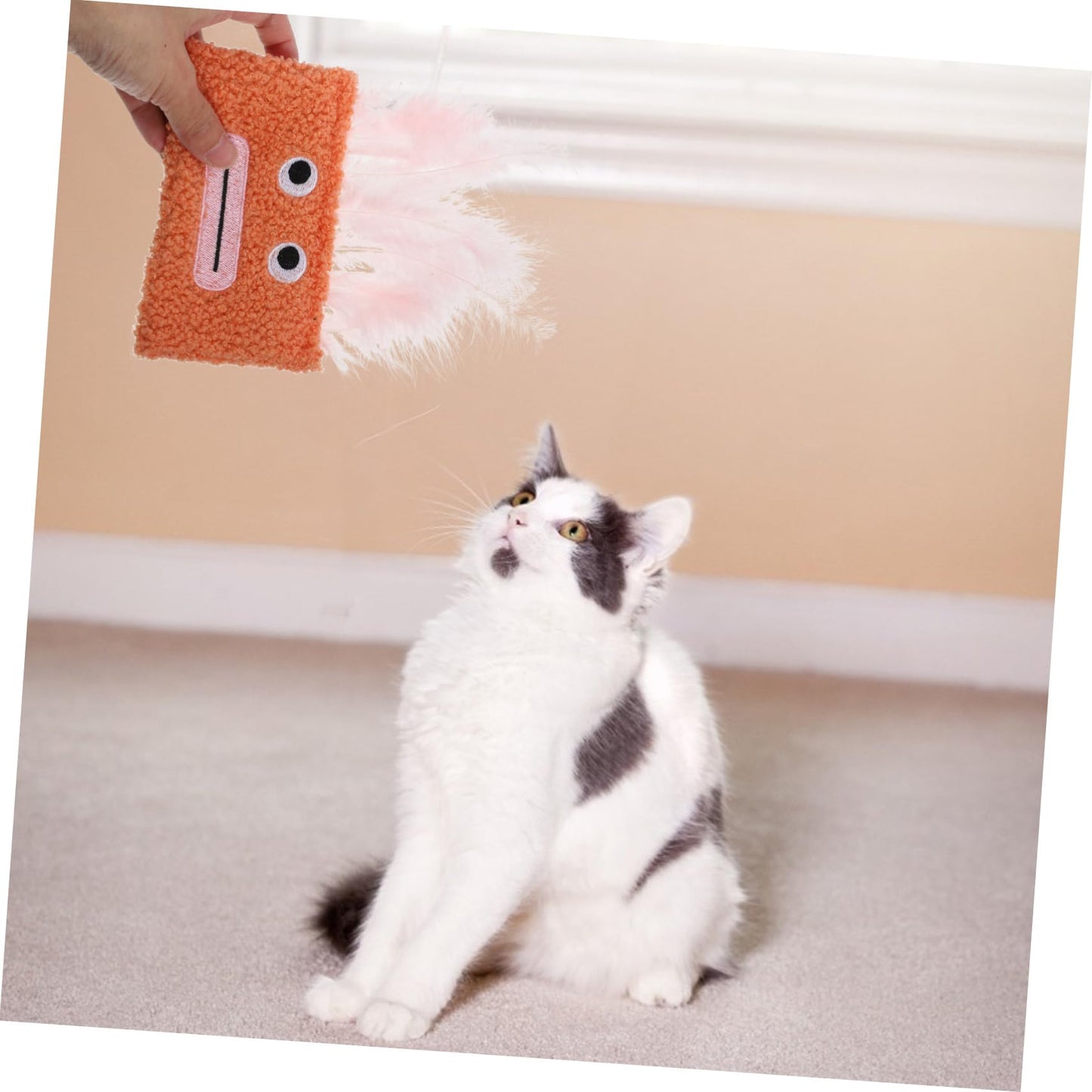 Toddmomy Cute Catnip Toy for Chewing Interactive Cat Plaything Crinkle Jelly Lip Cartoon Design for Indoor Kittens Engaging Cat Activity and Natural Instinct Encouragement