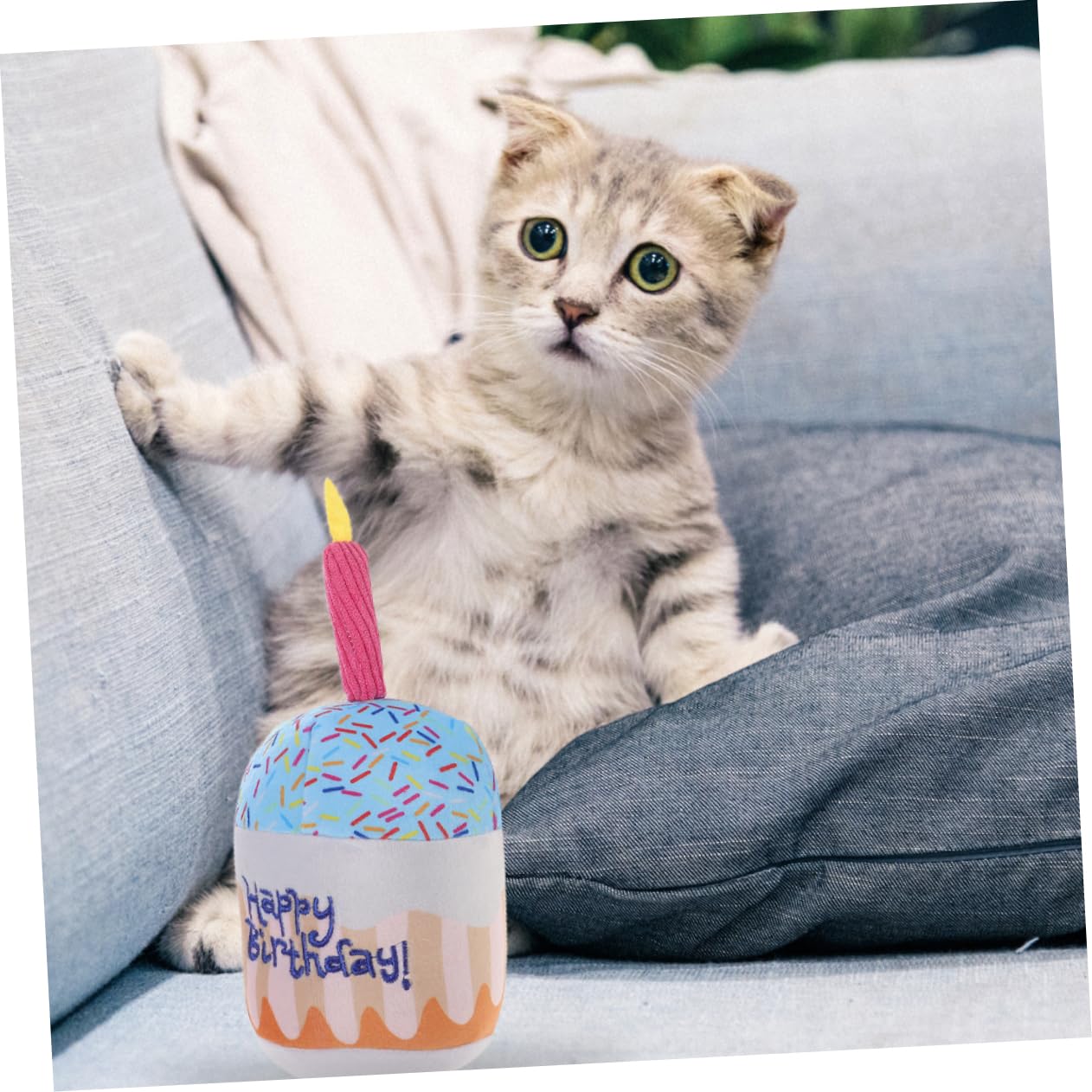 BESPORTBLE Plush Cat Chewing Toy Birthday Cake Shape Indoor Teething Fun for Cats Safe Soft for Engaging Playtime and Reducing Loneliness